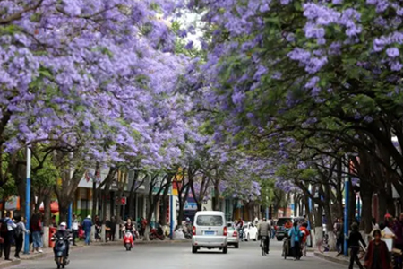 Kunming huojia